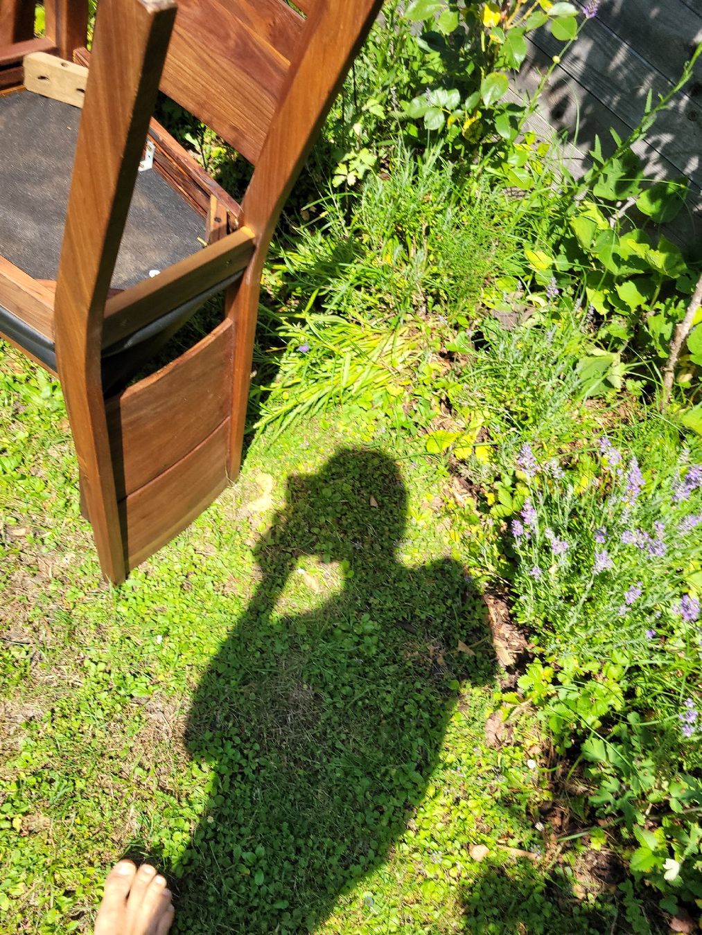 Stühle: Stuhlset Nussbaumholz – Gebraucht aus Schwerzenbach von mat_hw9g 3