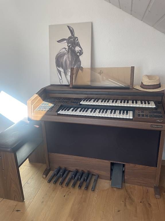 Strumenti musicali: Elektrische Orgel – Usato da Adlikon b.Regensdf venduto da Viabell