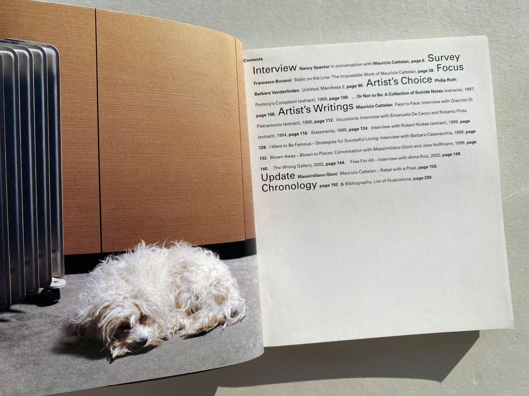 Libri: Maurizio Cattelan Phaidon Kunstbuch – Usato da Zürich venduto da lesgarcons 1