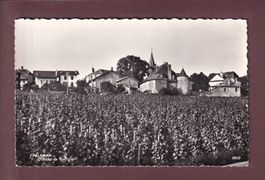 ALLAMAN - Château de Rochefort