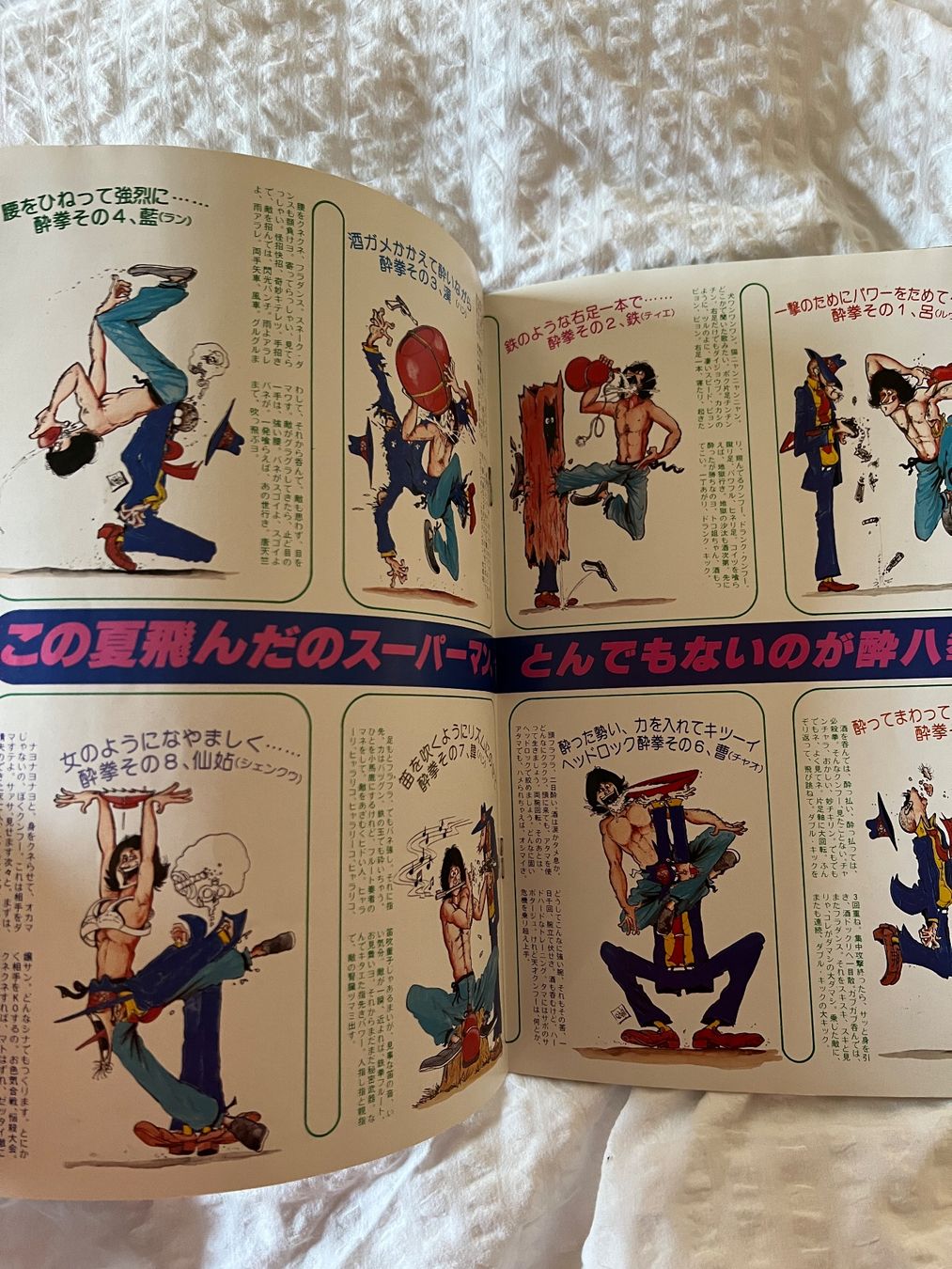 Bücher: Jackie Chan, rares Drunk Monkey Booklet, A4-Grösse – Gebraucht aus Iragna von Flips03 4