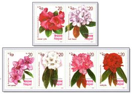 Nepal 2022 Rhododendron Rhododendren Blumen fleurs **