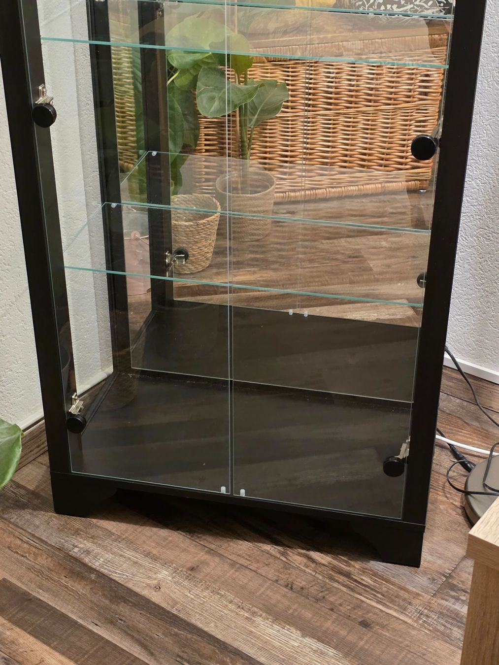 Vetrine: Glasvitrine – Nuovo (secondo la descrizione) da Küttigen venduto da Lupsi 2