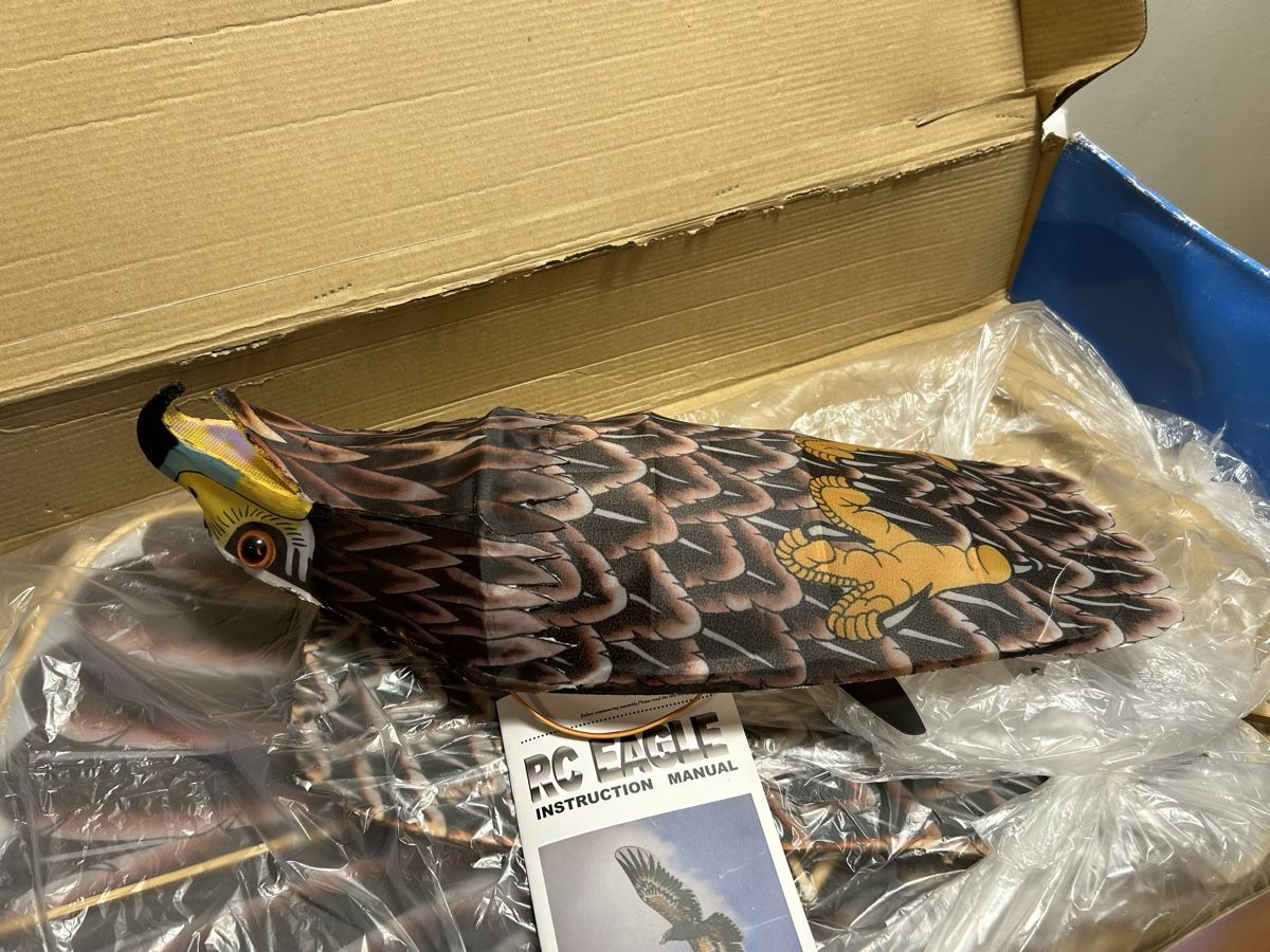 Modellismo RC: Avion RC Dynam RC Eagle – Usato da Geneve venduto da Fil1997 6