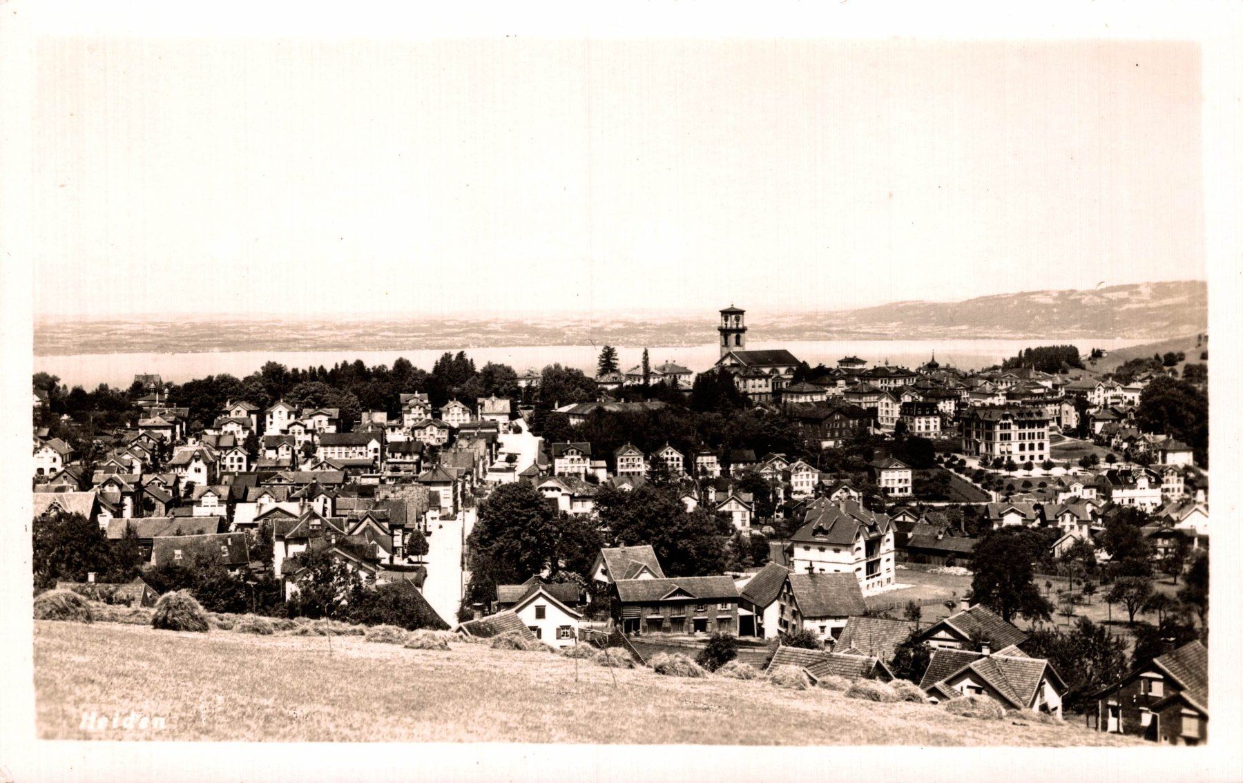 Cartoline postali: Panorama Heiden – Usato da Bronschhofen venduto da Astore