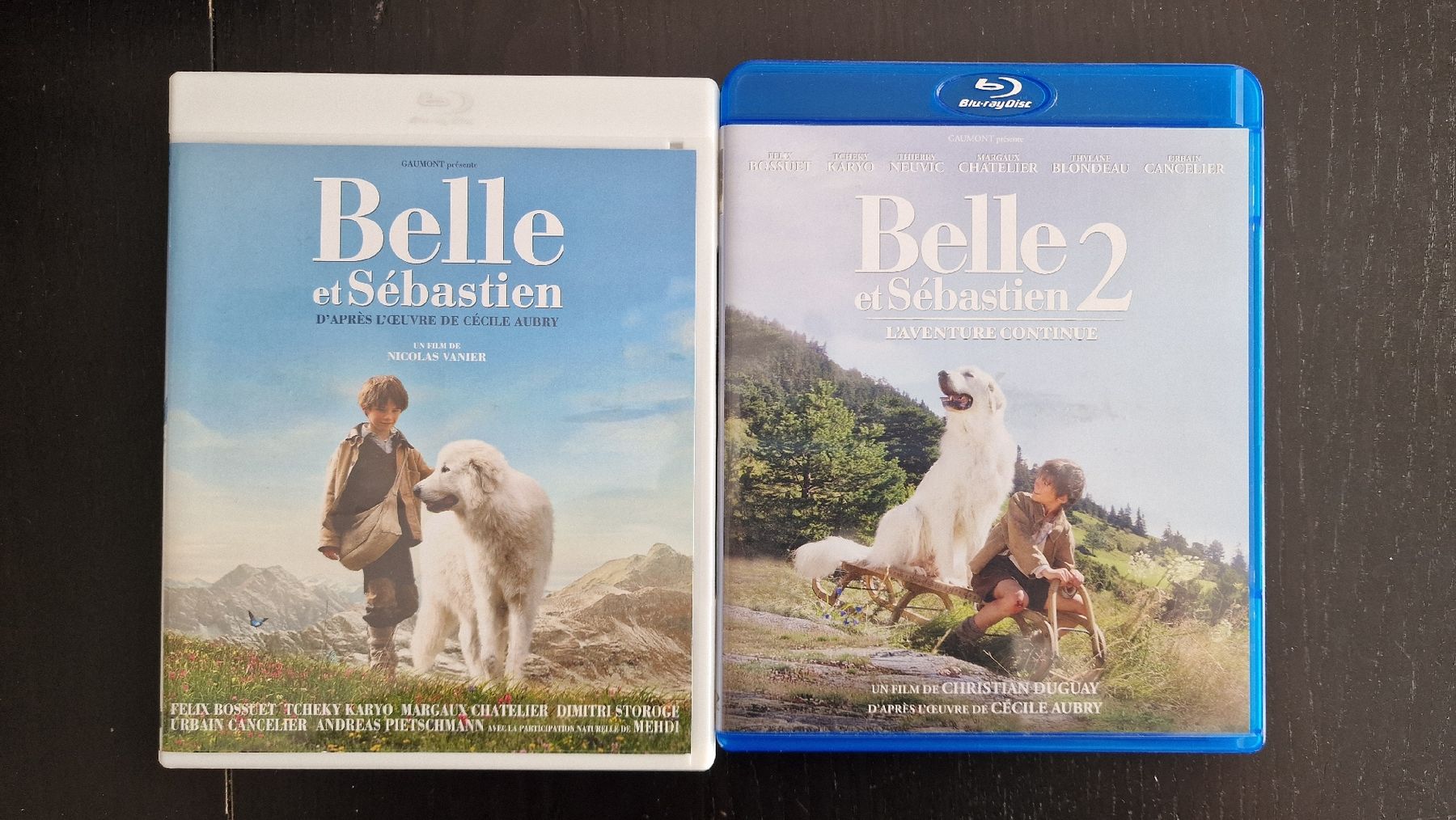 Tutti i DVDs: Belle et Sébastien 1 et 2 – Usato da Bussigny venduto da Clapman
