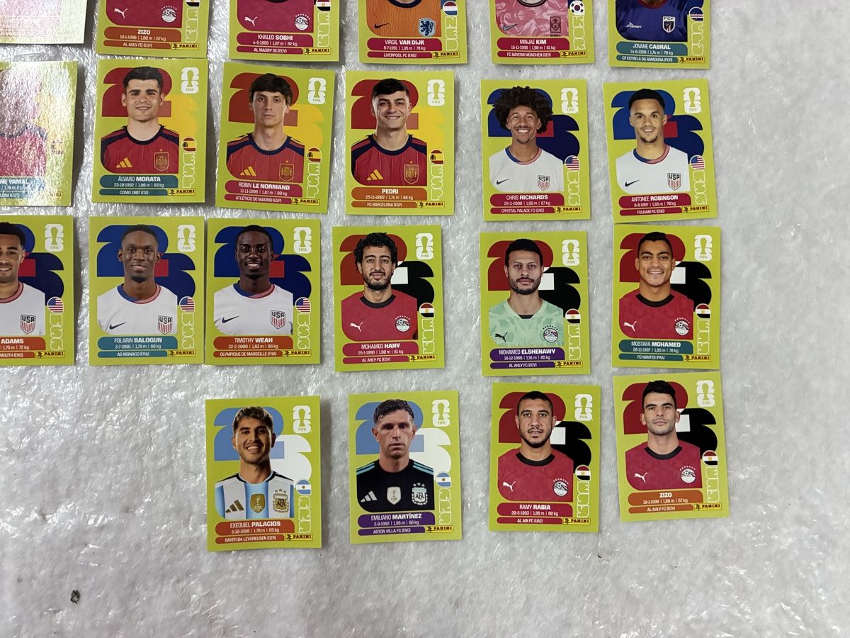Panini Carte collezionabili: Panini WM 2026 Sammelbilder  – Usato da Emmen venduto da paesu6 3