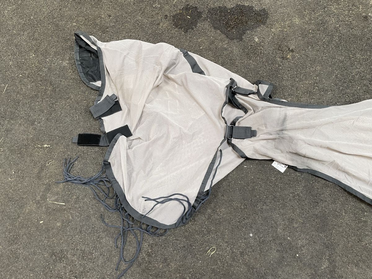 Coperte: Fliegen Ausreitdecke mit Halsteil, 155cm – Nuovo (secondo la descrizione) da Aristau venduto da cherry-berry 2