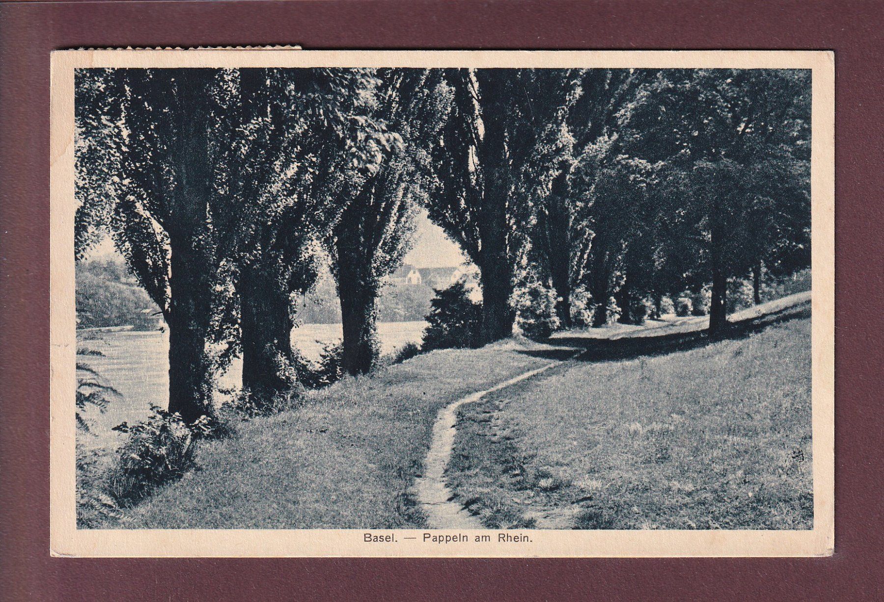 Ansichtskarten: BASEL - Pappeln am Rhein - 1921 – Gebraucht aus Pully von nicecards