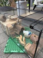 Terrarium mit Zubehoer gebraucht guter Zustand