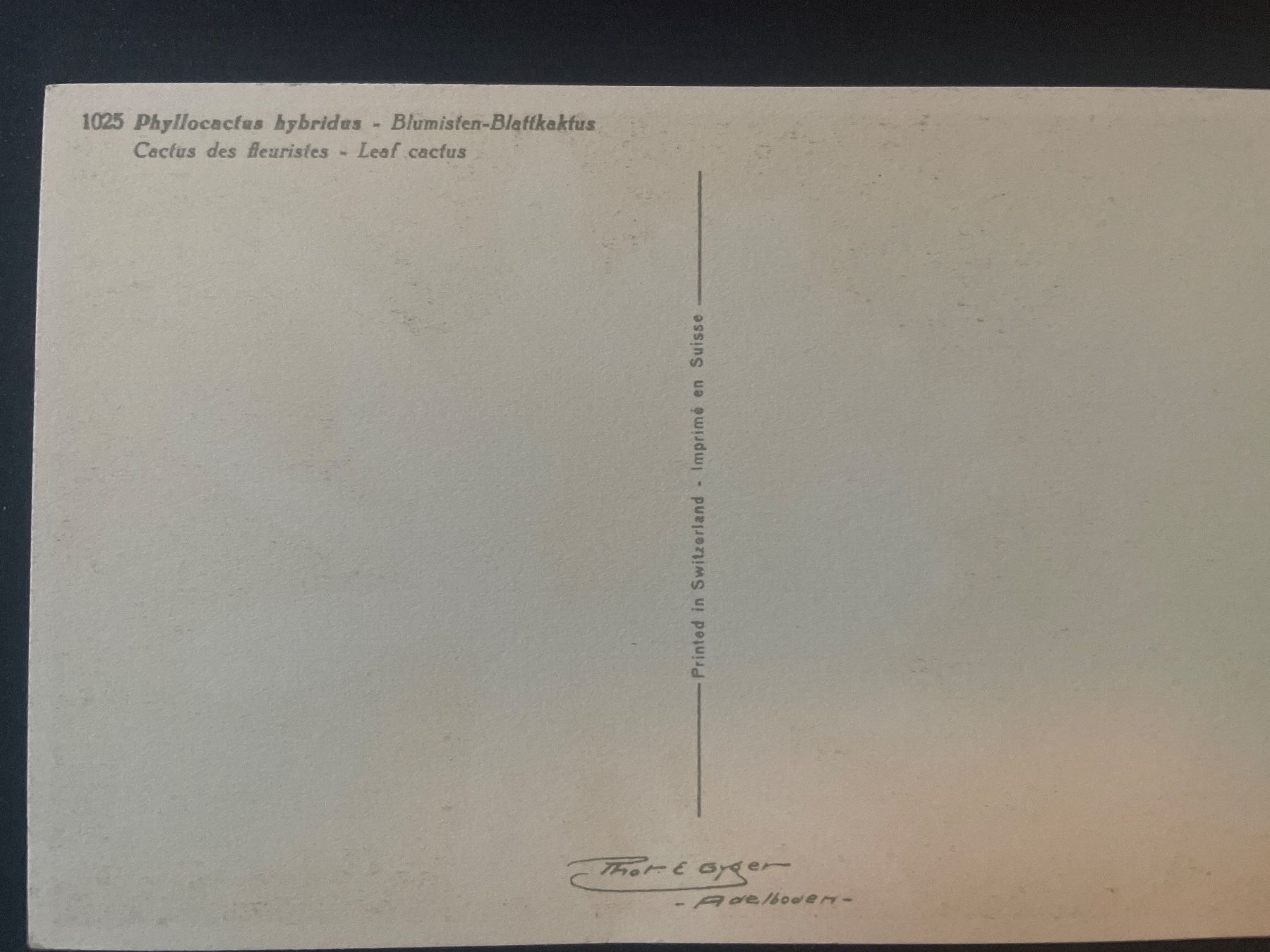 Cartes postales: Alte Postkarten – D'occasion à bern par frauschenk 1
