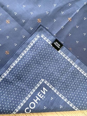 Jacob Cohen Halstuch. Blau, Sommer Accessoire, Top!