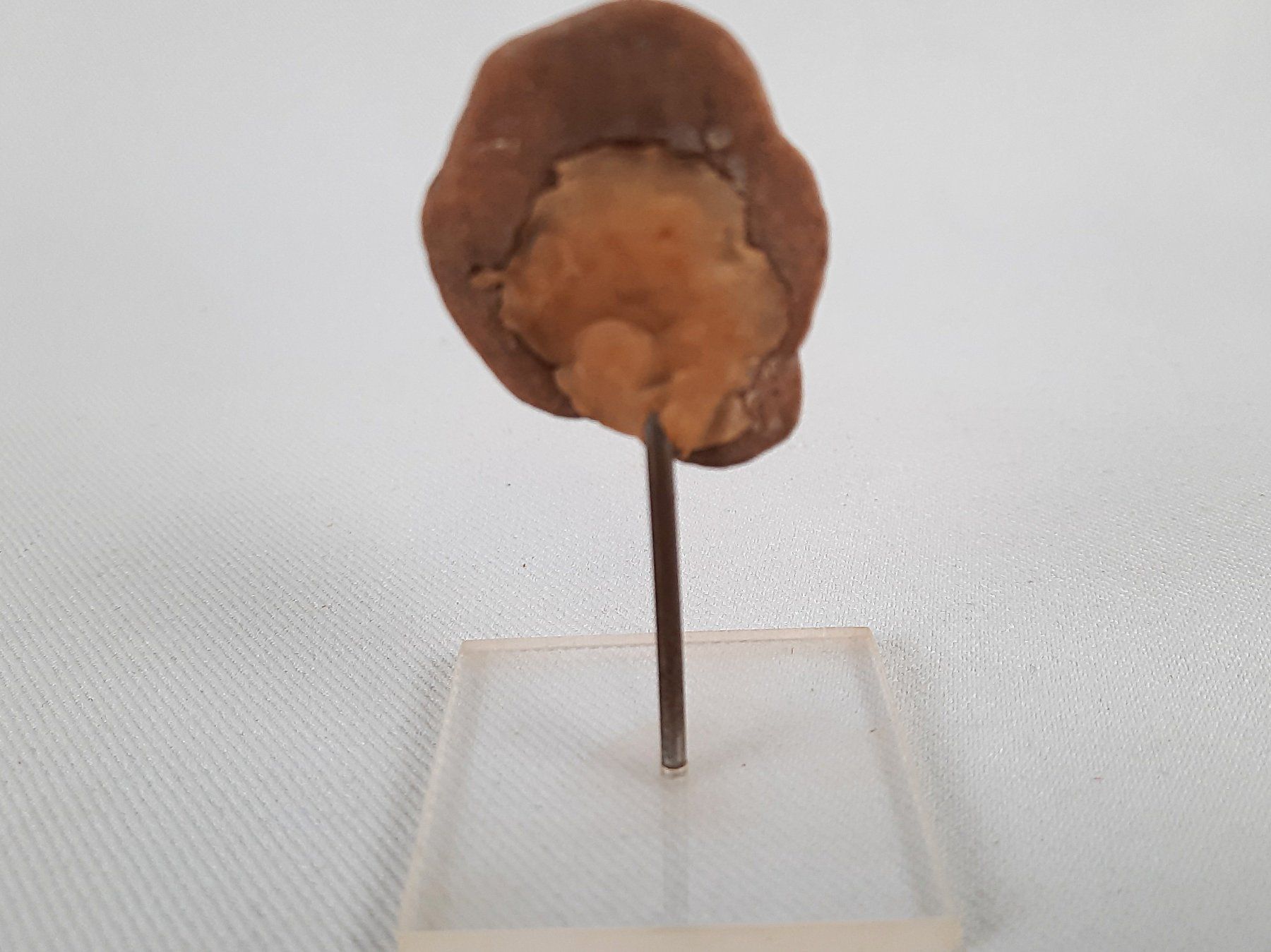 Figuren: Tonfiguren – Gebraucht aus Beinwil am See von Restwert_Beinwil 8