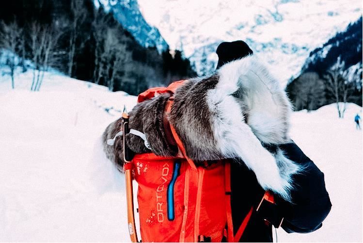 Tappeti: Echtes Rentierfell mit Silikon behandelt – Nuovo e nell'imballaggio originale da Arbedo venduto da patagonialeatherrugs 2