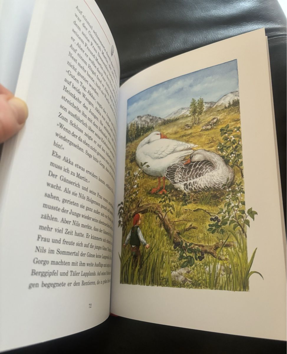 Livres: Nils Holgerssons Reise - Kinderbuch – D'occasion à Zermatt par Tinasvoyage 3