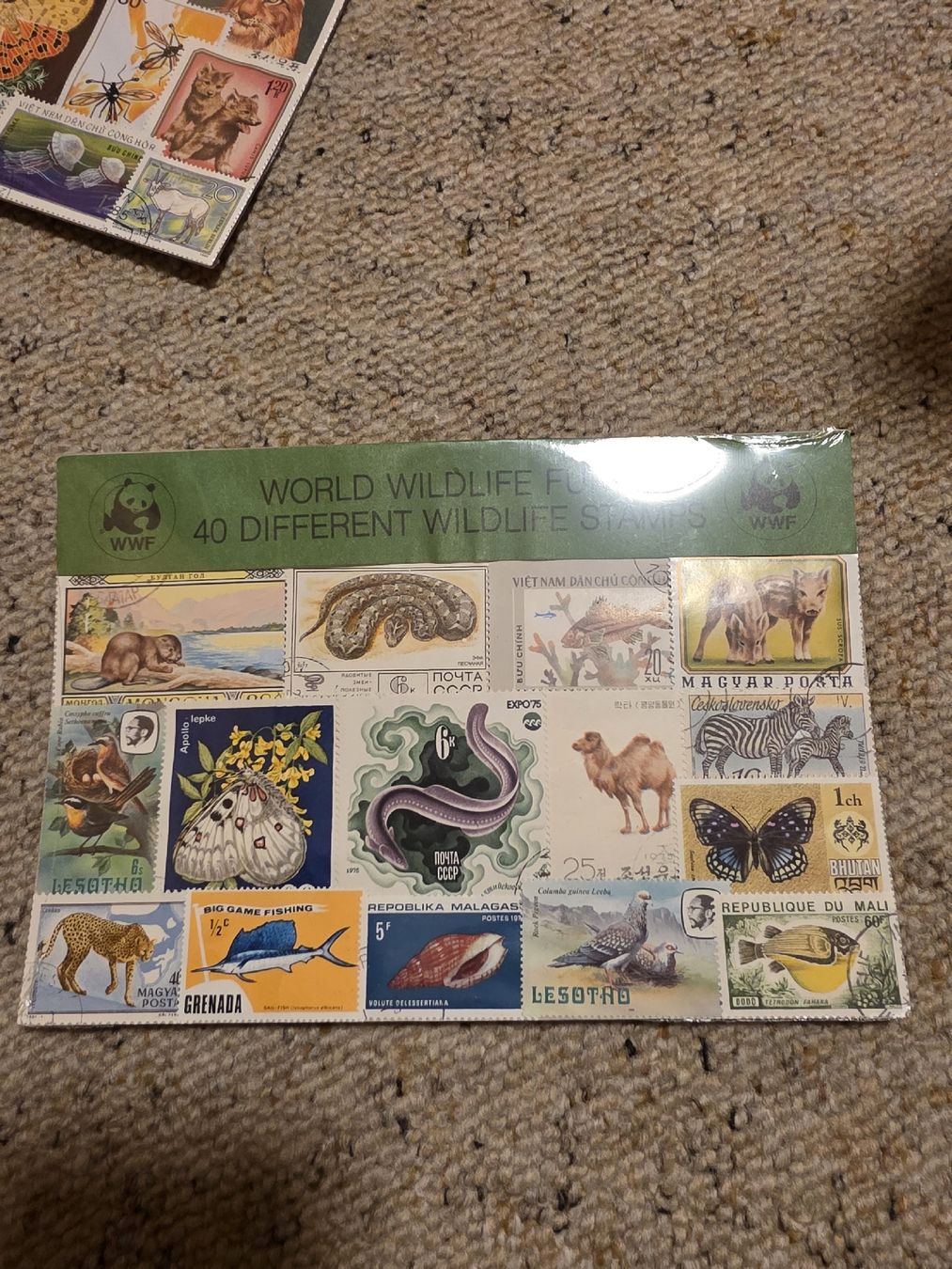 Tutti i francobolli: WWF Briefmarken Sammlungen – Usato da St. Gallen venduto da Turko6363 2