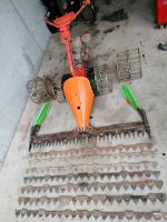 Motormäher Aebi AM9
