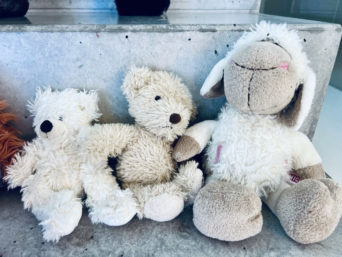 Giocattoli: Plüschtier-Set - 14 Stück – Usato da Küsnacht ZH venduto da Studjus 2
