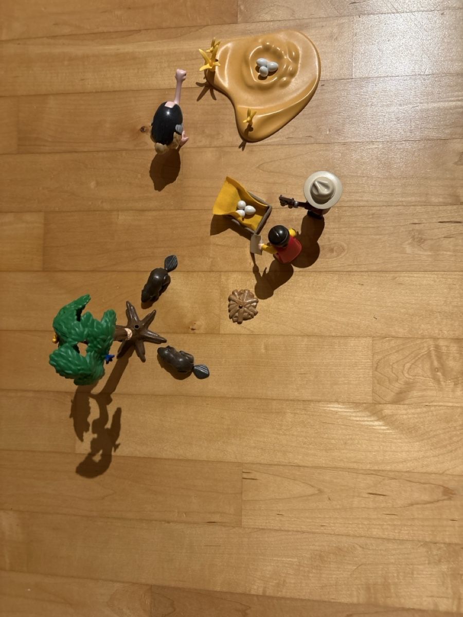Playmobil Giocattoli: Playmobil Safari – Usato da Nottwil venduto da wasserlufterde