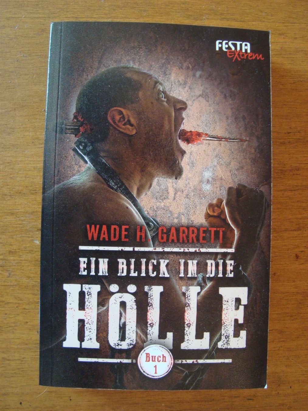 Bücher: Ein Plick in die Hölle – Neu (gemäss Beschreibung) aus Walzenhausen von Totenkopf0 1