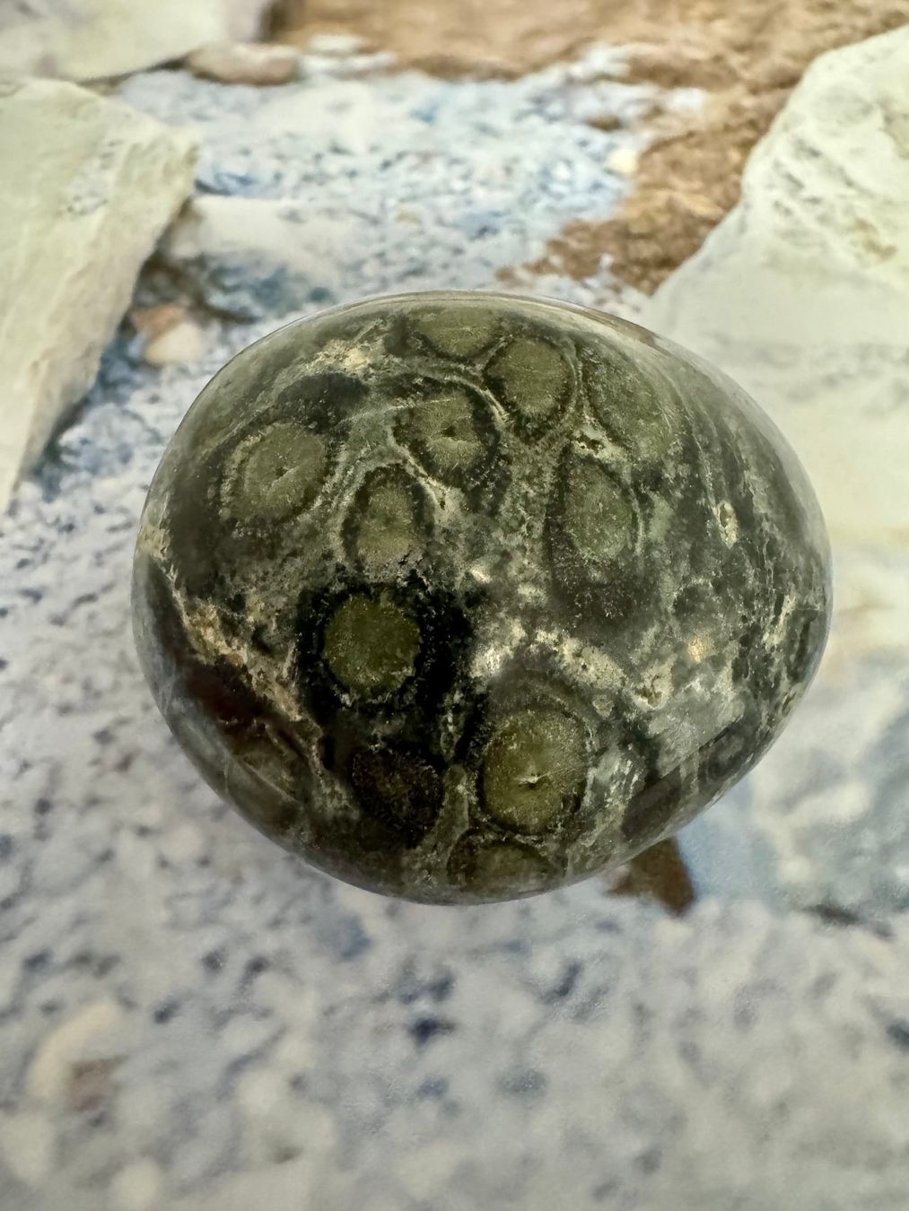Pierres précieuses: Rhyolith – Neuf (Voir description) à Biberist par Steine 2
