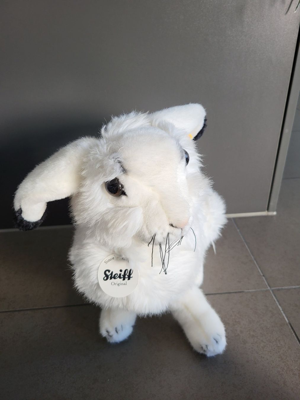 Steiff Spielzeuge: Steiff Hase – Neu (gemäss Beschreibung) aus Zürich von Orchidee 1