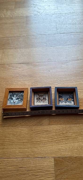 Foto & Immagini: 3 Original Katzenbilder – Usato da Basel venduto da Joshy03 1