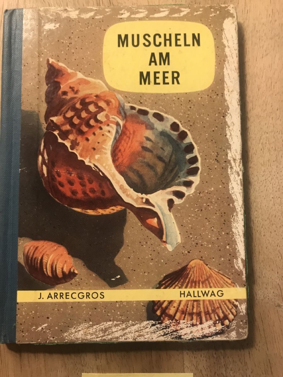 Bücher: Schnecken und Muscheln Buch – Gebraucht aus Thalwil von mabara42
