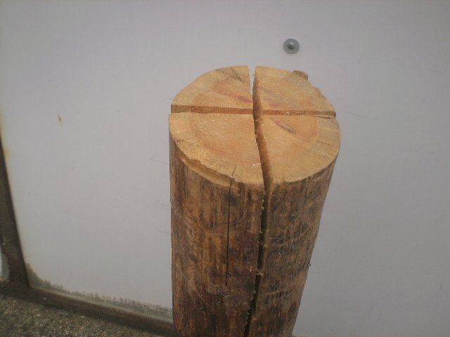 Articoli in legno: Finnenkerzen ! – Nuovo e nell'imballaggio originale da Mönthal venduto da johann51 1