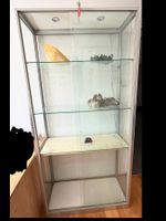 Glasvitrine mit Beleuchtung ca 100kg nur Abholung