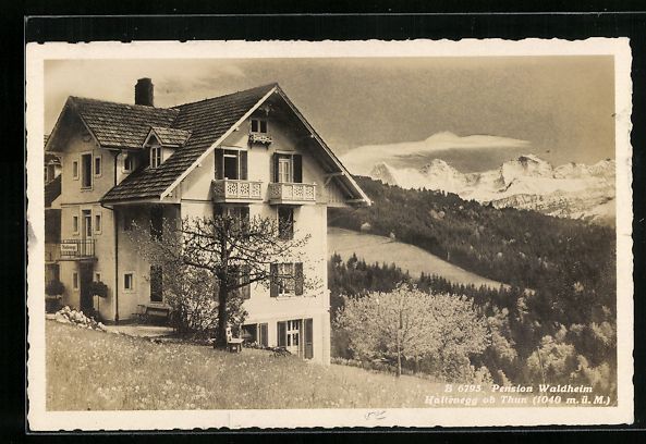 Ansichtskarten: Haltenegg ob Thun, Pension Waldheim, Pan – Gebraucht aus Berlin von bartko-reher