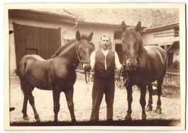 Fotografie Nieder-Hilbersheim, Pferdez