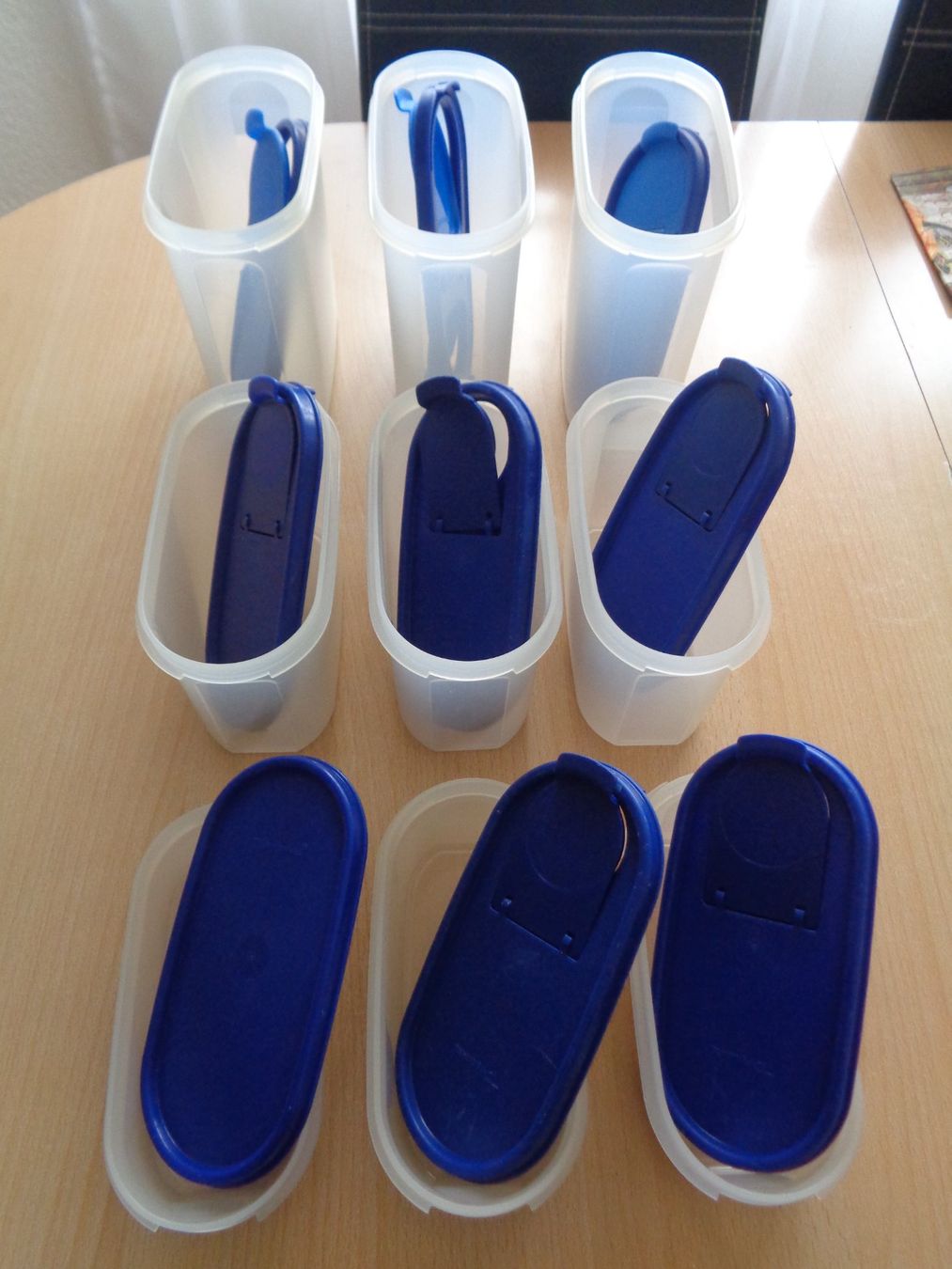Tupperware Contenitori & Simili: Tupperware 9 Vorratsdosen blau – Usato da Dietikon venduto da chroetli77 1
