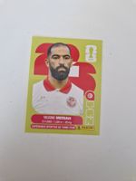Panini Sticker TUN6