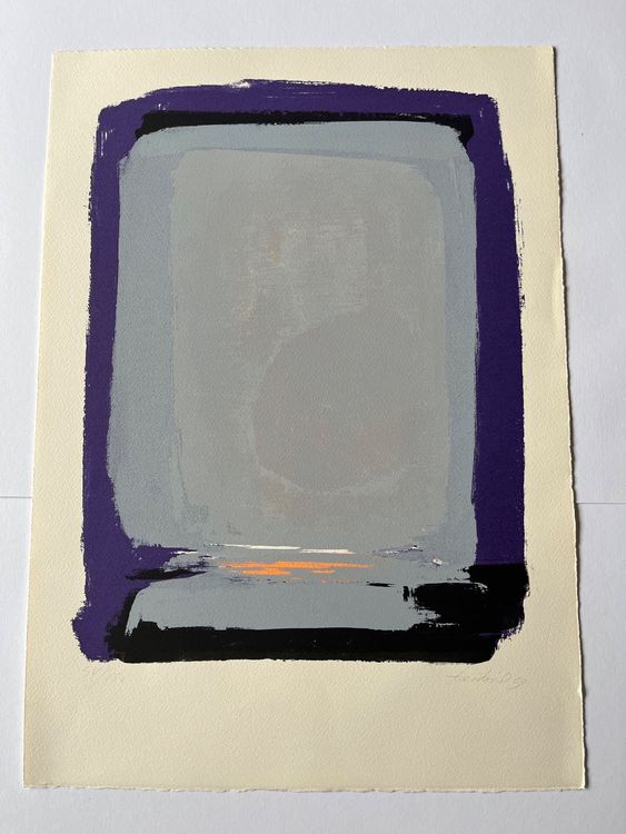 Pierre Terbois Miroir, sérigraphie Kaufen auf Ricardo