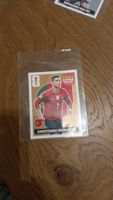 Panini WM 2026 Extra / Bronze / Christiano Ronaldo