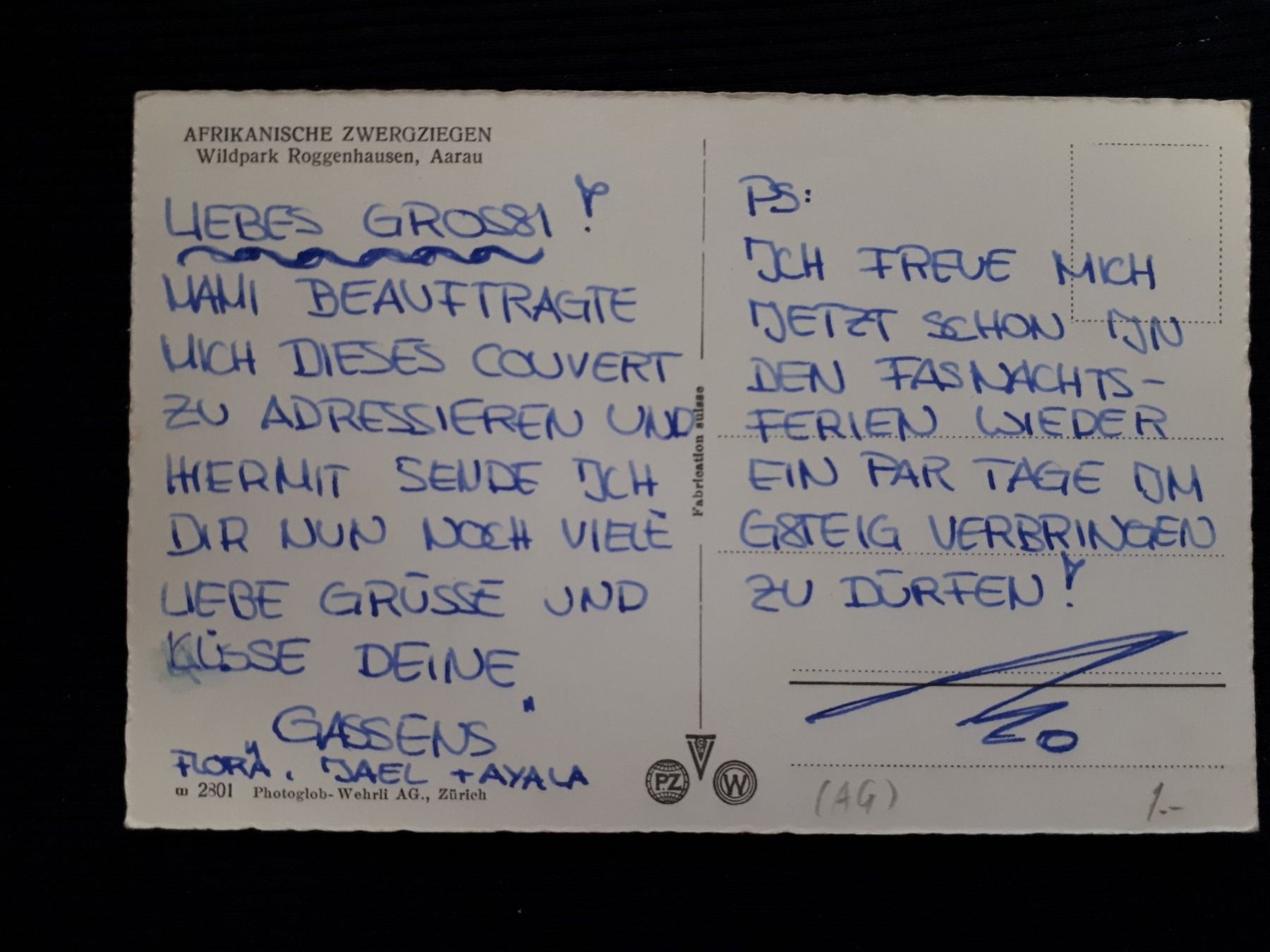 Ansichtskarten: WILDPARK AARAU - ZIEGEN – Gebraucht aus Ponto Valentino von giorgia06 1