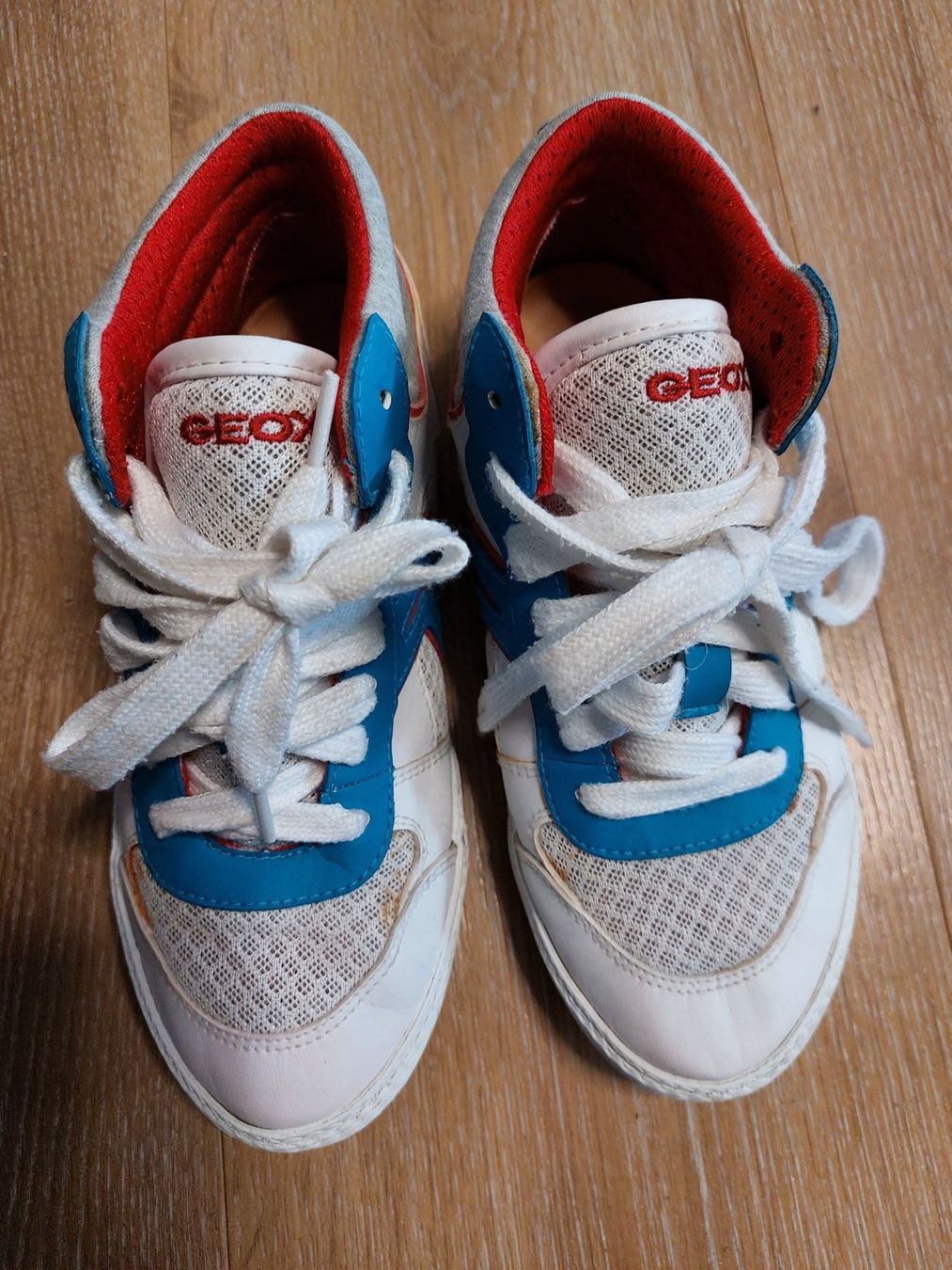 Geox Scarpe per ragazzi: Geox Knöchelschuhe Gr.33 – Usato da Zweilütschinen venduto da badguy79