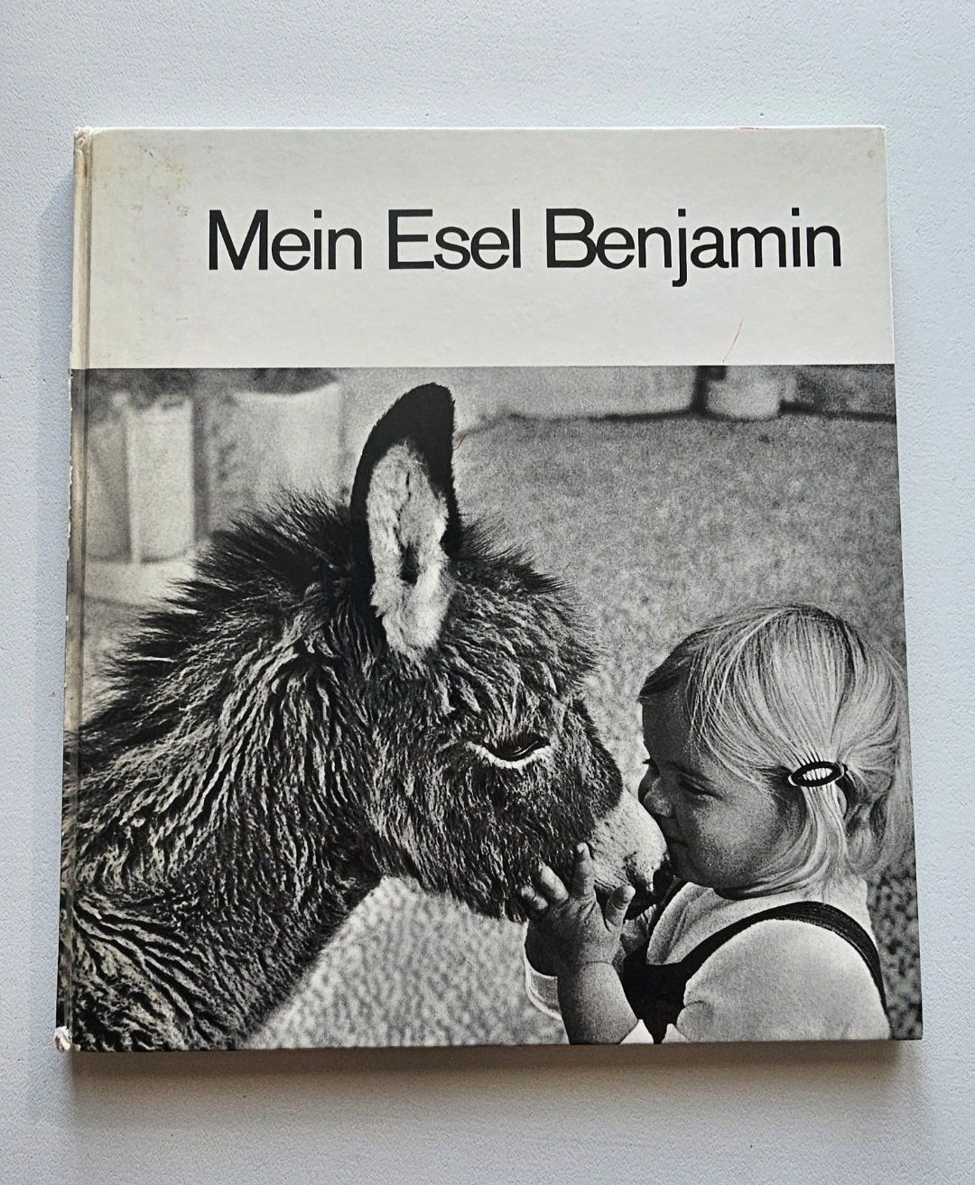 Libri: Mein Esel Benjamin - Kinderbuch Klassiker – Usato da Balterswil venduto da Dikdik1992