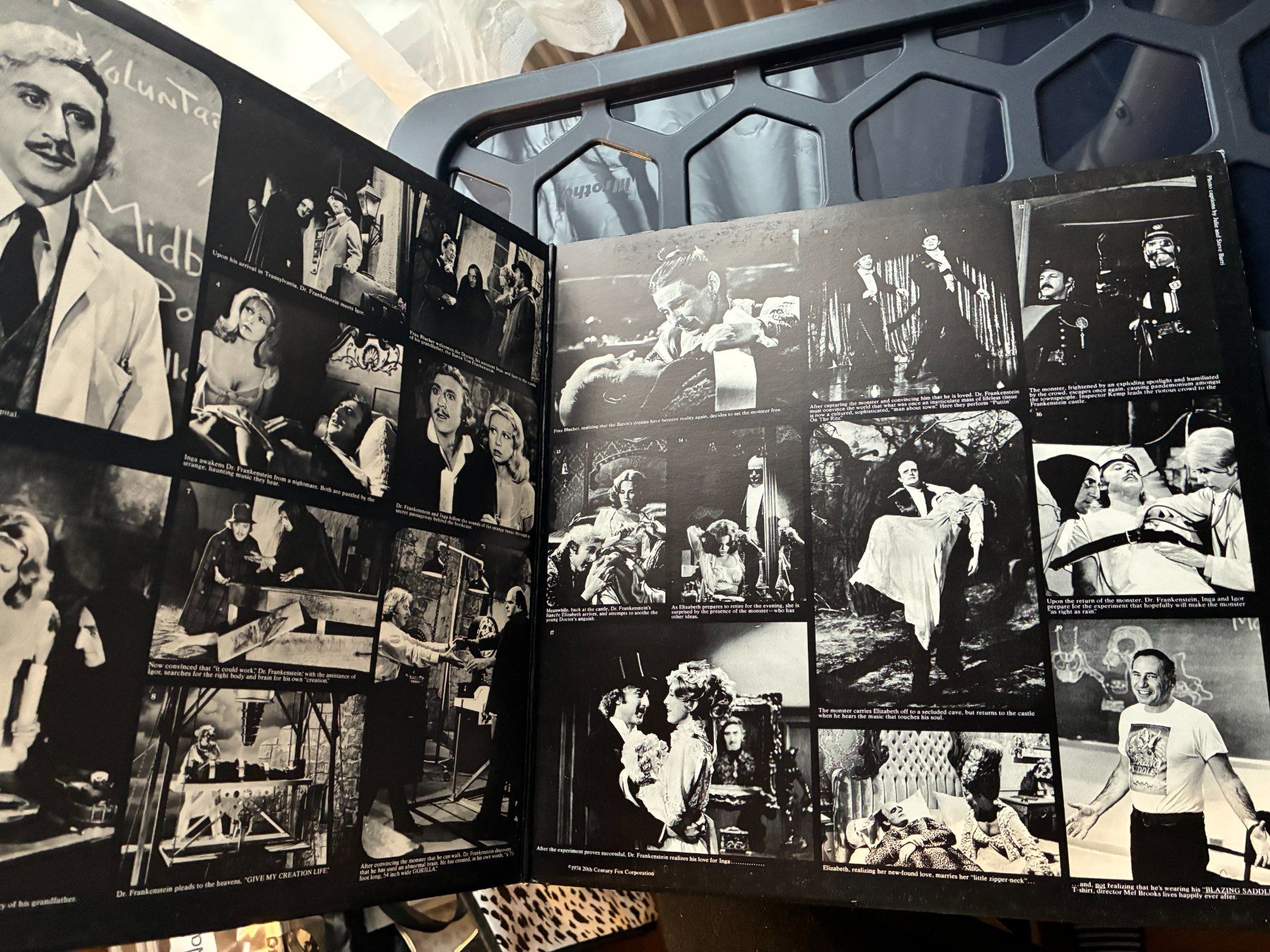Vinyles: Young Frankenstein (Soundtrack & Dialogue, Vinyle) – D'occasion à Vevey par zecollector 2