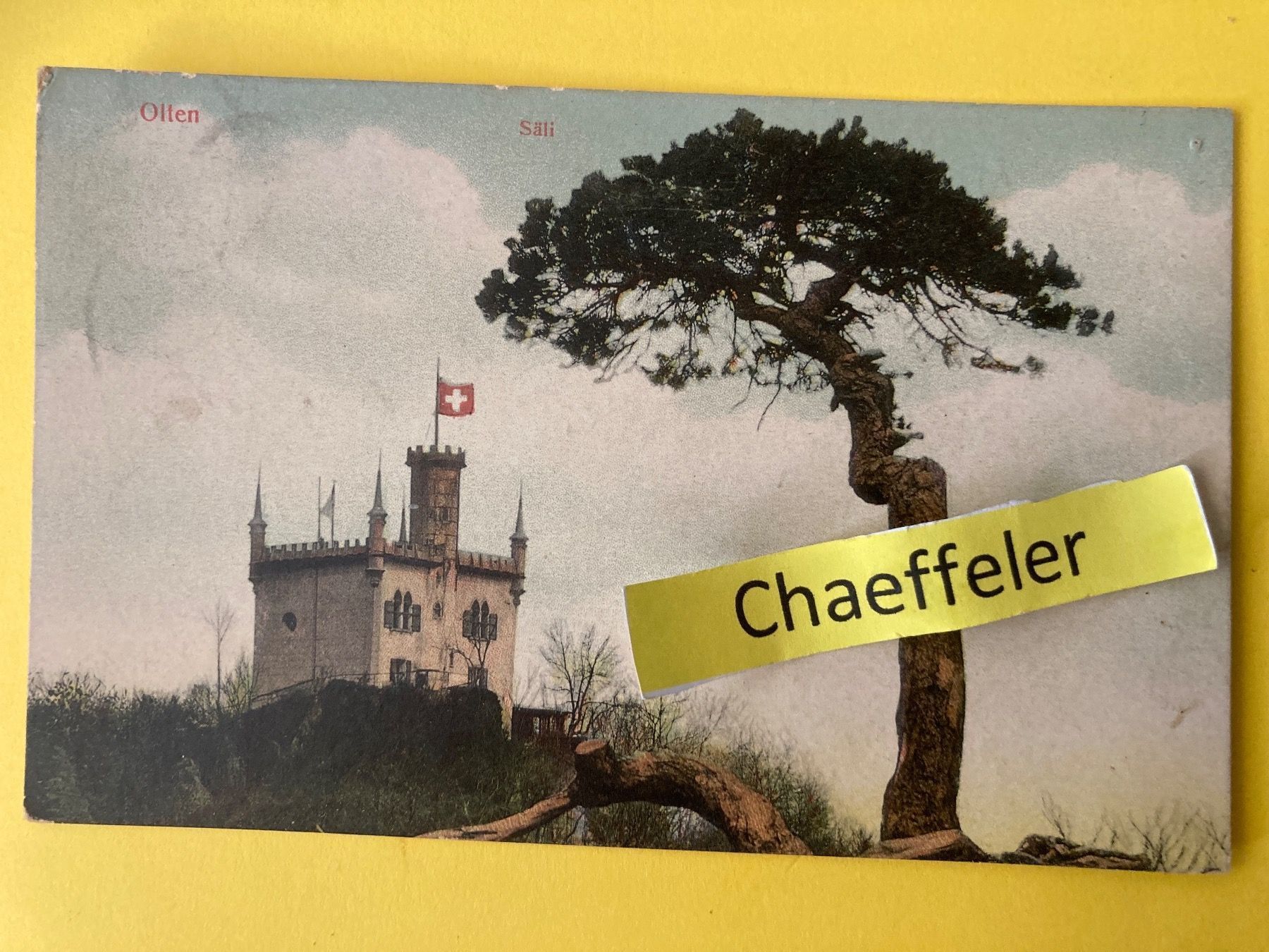 Cartoline postali: 1908. Olten, Säli – Usato da Zürich venduto da Chaeffeler