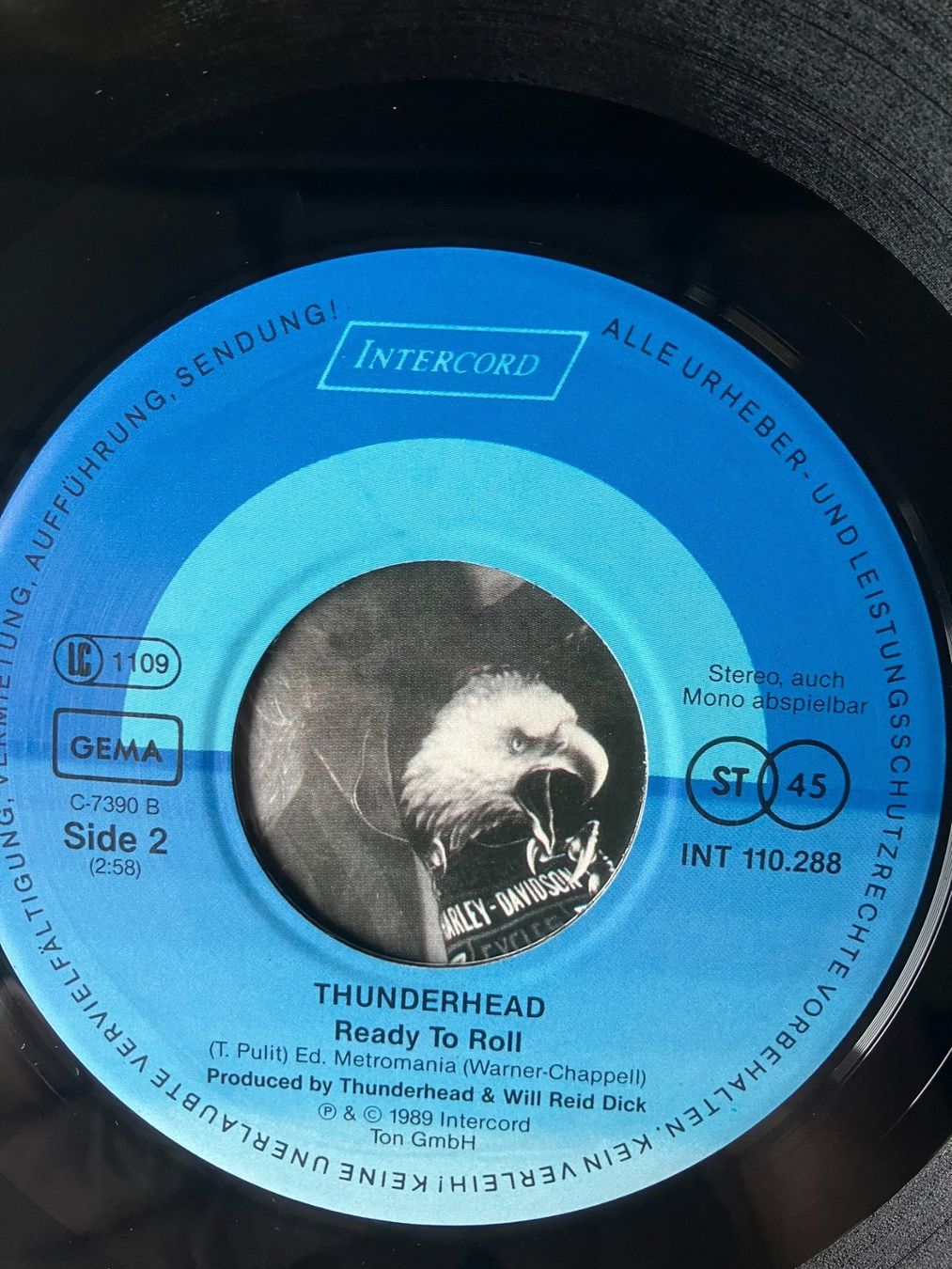 Dischi in vinile: Thunderhead – Usato da Aarwangen venduto da Jukebox3 8
