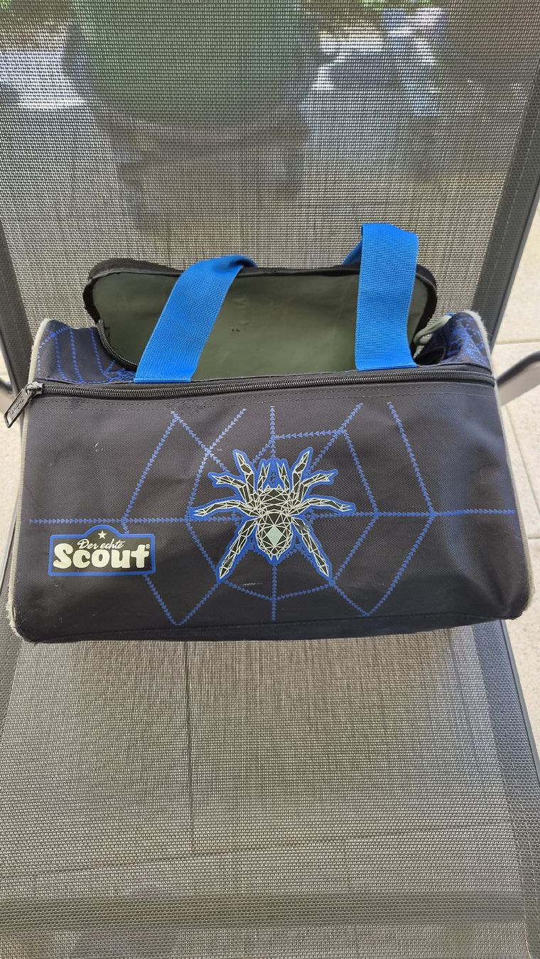 Borse & Zaini: Scout Schultasche – Usato da Kerns venduto da dreamer8381 5
