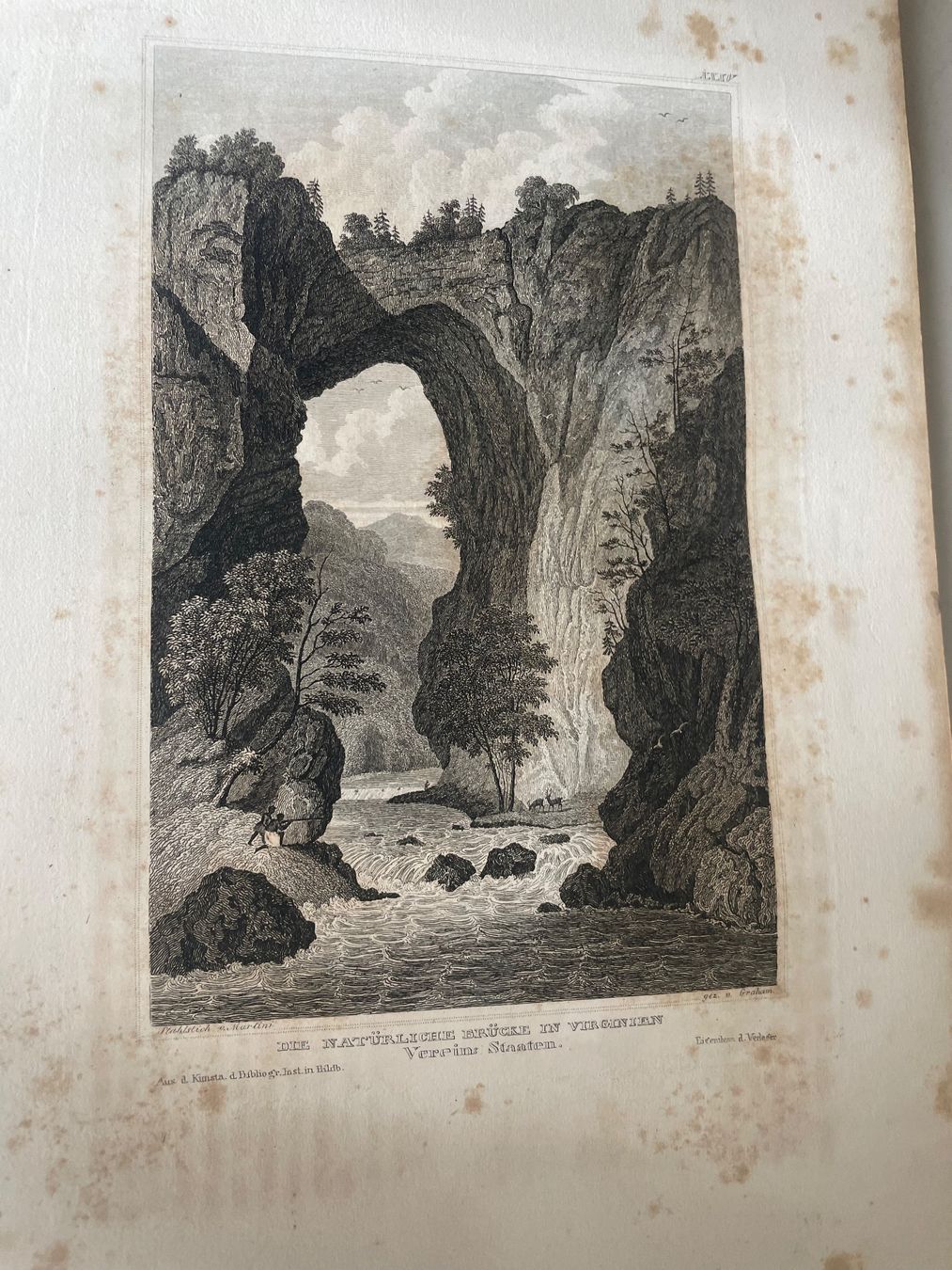 Libri: Meyer's Universum Erster Band 1833 - Buch – Usato da Minusio venduto da Pink222 3