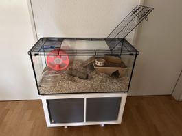 Hamsterkäfig & Zubehör
