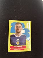 Panini SCO 8