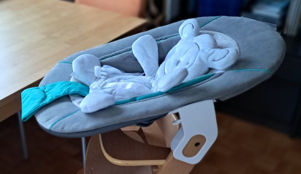 Hauck Wippen & Schaukeln: Hauck Babywippe Alpha Bouncer – Gebraucht aus Meilen von Vaurien15 4