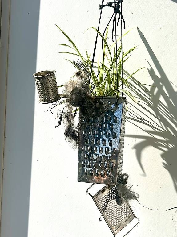 Pots de fleurs: Bepflanzte Raffel  – Neuf avec emballage d'origine à Frauenfeld par Irene.Schuppli