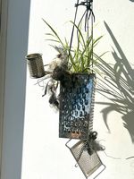Bepflanzte Raffel 