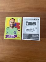 Panini COL 3